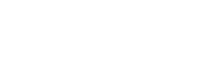 Attive Consultoria Empresarial